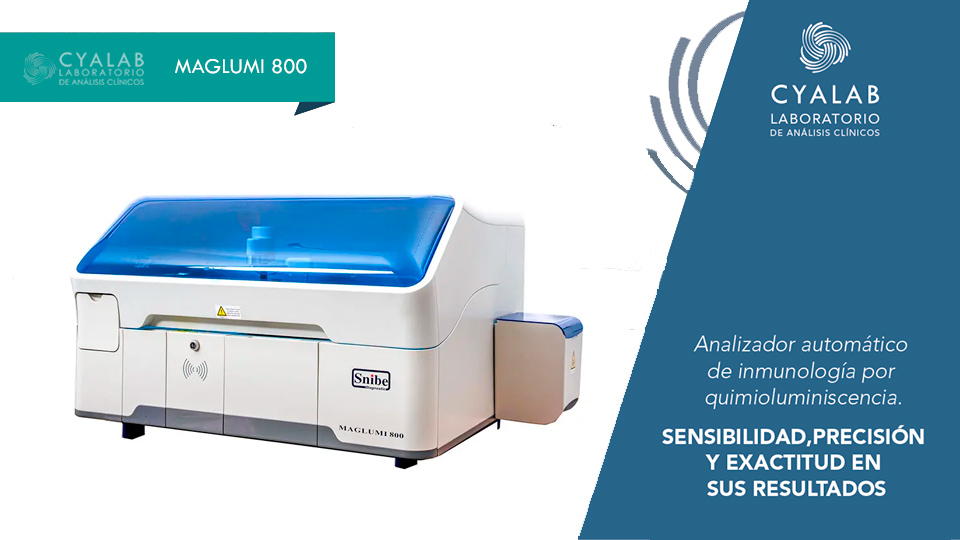 Maglumi 800